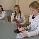 Minify img