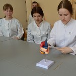 Minify img
