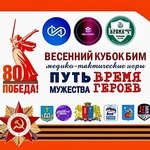 Minify img