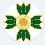 Minify img