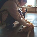 Minify img