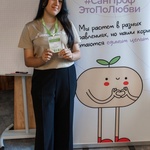Minify img