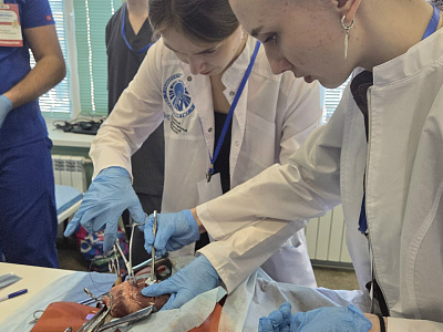 В десятке лучших